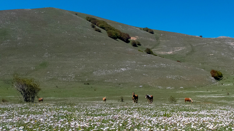 IRÁNY A MONTE MEZZANA!